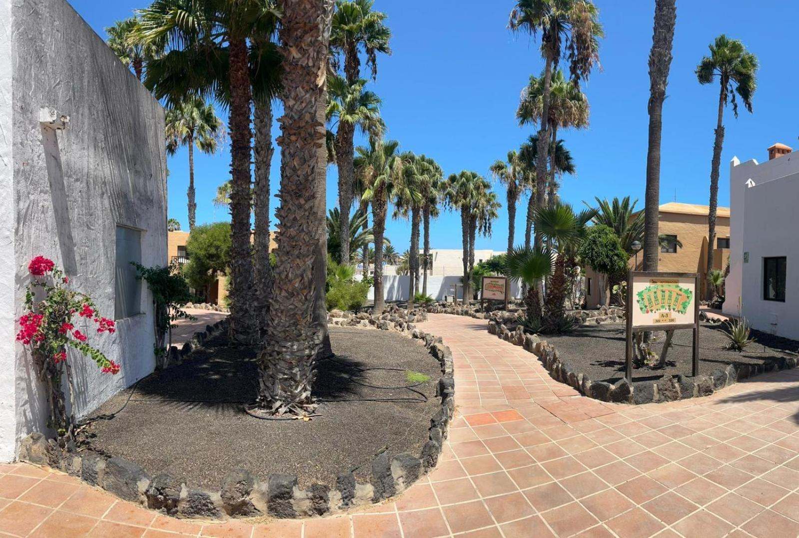 Apartamentos Gala Corralejo Ngoại thất bức ảnh